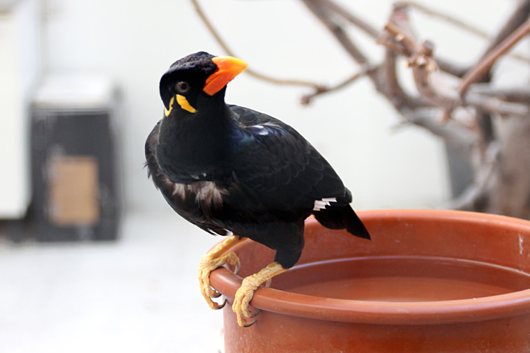 Fotogalerie Impressionen von Hof Waldersee