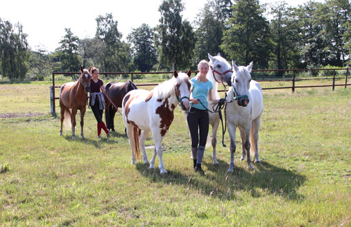 Foto: Praktikantin mit Pferden auf der Weide