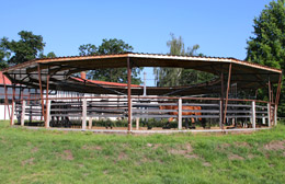Foto Reitanlage